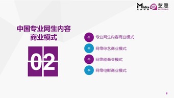 互联网数据中心与199it 数据驱动的营销服务新时代